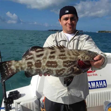 Key West Grouper Fishing | Key West Fishing