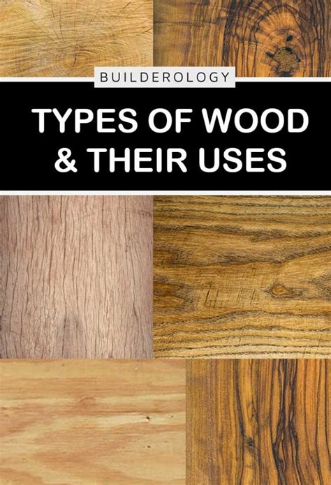 Different Types of Wood & Their Uses | Builderology