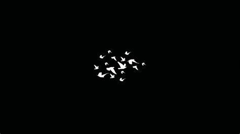 3840x2160 Birds Flying Minimalist Dark 4k 4K ,HD 4k Wallpapers,Images ...