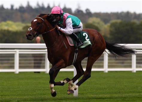 Saudi-owned Frankel wins top UK horse race - Arabianbusiness