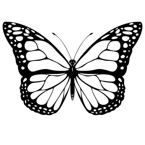 Free Butterfly Wing Outline, Download Free Butterfly Wing Outline png ...