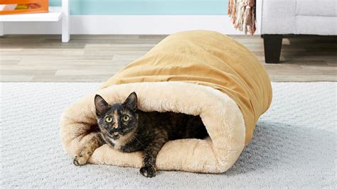 The Best Heated Cat Beds of 2024 | Reviews & Guide