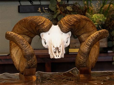 BIGHORN SHEEP REPLICA (1)