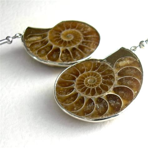 Ammonite Fossil Jewelry Nautilus Earrings Fossilized Brown - Etsy