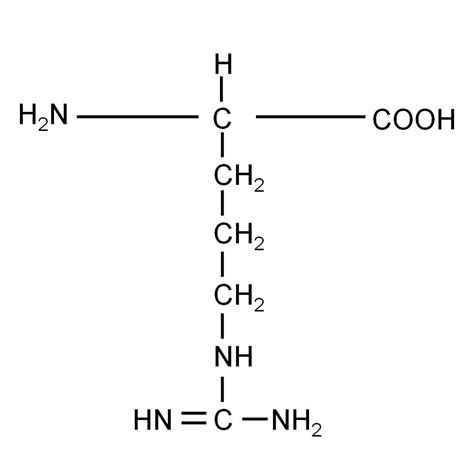 unlabeled L-Arginine hydrochloride powder - Silantes Webshop