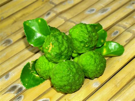 Bergamot Fruit Herb Free Stock Photo - Public Domain Pictures