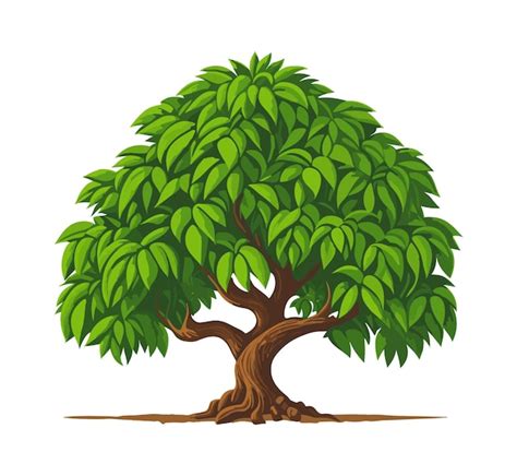 Premium Vector | Tree vector illustration isolated on white background