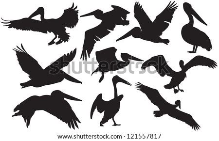 Flying Pelican Silhouette Free Vector / 4Vector