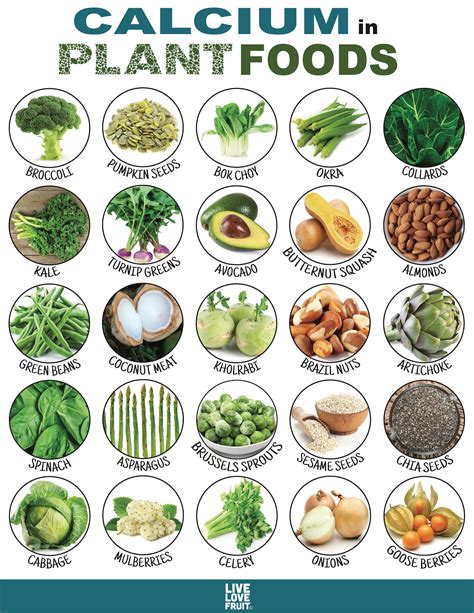 25 Calcium-Rich Plant Foods