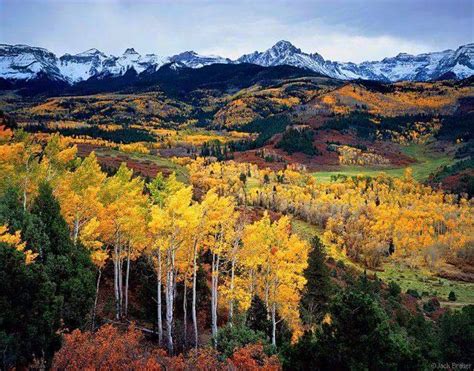 The Most Unique Ways to Experience Fall Colors in Colorado | Lake City - A Peak Experience