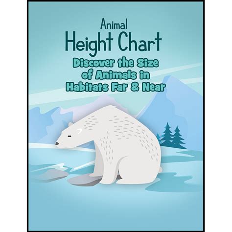 CLEARANCE Height Chart - WinterPromise