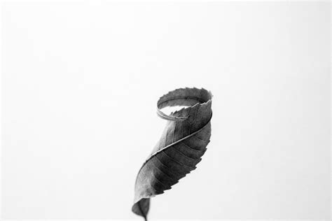 Minimalist nature photography – Keith Dotson Photography