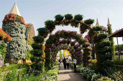 Dubai Miracle Garden: A flower paradise - Passion for Dubai