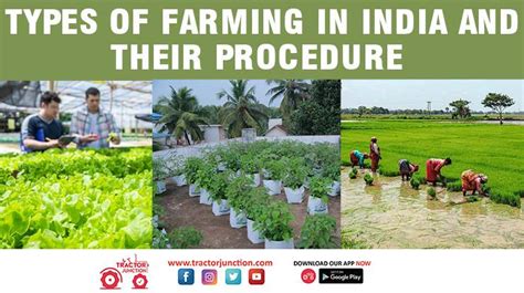 Explain the Different Types of Farming Practiced in India - Krish-has-Rodriguez