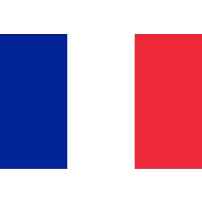 Joao Pedro Felipe: France Flag Png Transparent / French Flag Transparent Background Clipart ...