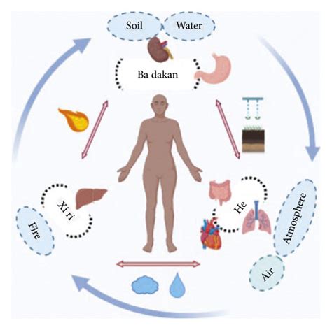 The concept of Mongolian medicine in treating diseases. | Download Scientific Diagram