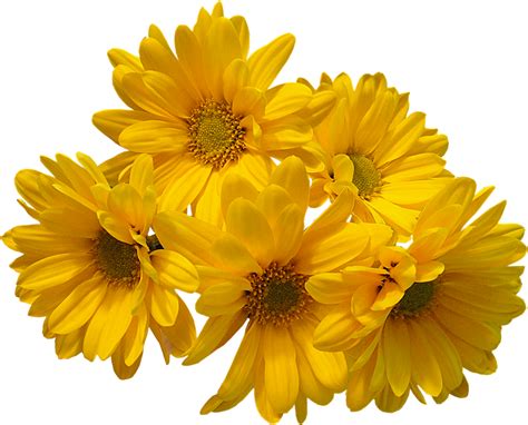 Image file formats Clip art - Yellow Flowers Bouquet PNG Transparent ...