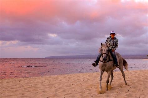 Horse Riding in O‘ahu | TheList.Travel