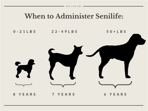 Is Your Senior Dog Suffering From Brain Aging? Senilife Could Help! | Big Lick Veterinary Services