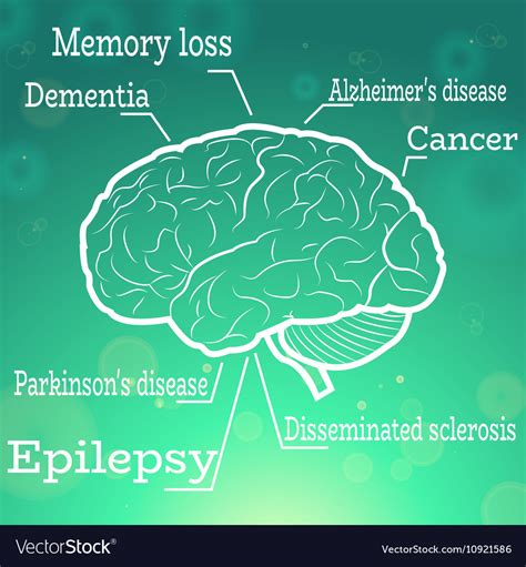 Understanding, Brain Injuries, Diseases and Dysfunctions – Purpose Driven Therapy