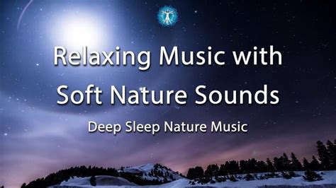 Nature Sleep Music, Relaxing Music with Soft Nature Sounds, Great Music ...