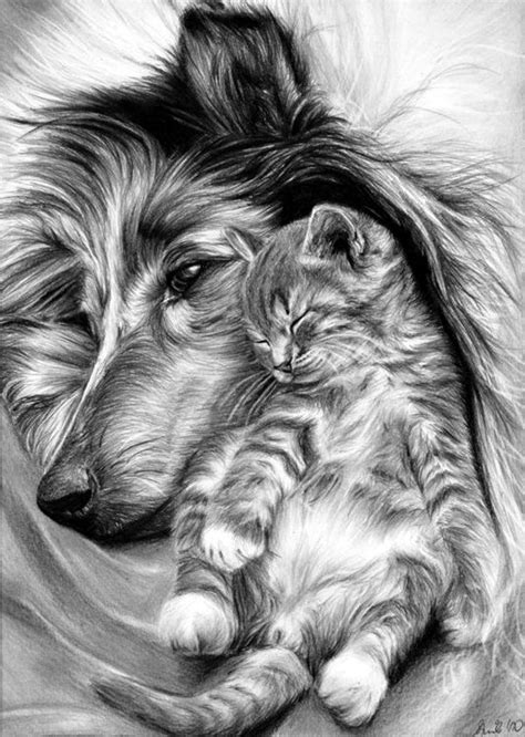 Realistic Animal Drawings In Pencil | EASY DRAWING STEP