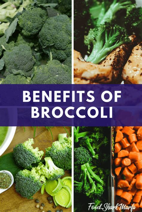 Some of the Proven Health Benefits of Broccoli | Food Shark Marfa