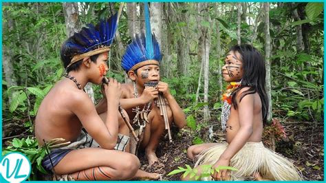 This Is How Tribes In The Amazon Rainforest Live! - YouTube