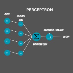 Complete Guide to the Perceptron Algorithm in Machine Learning - AskPython