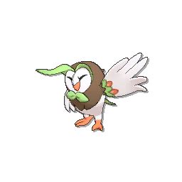 Dartrix Pokédex: stats, moves, evolution & locations | Pokémon Database