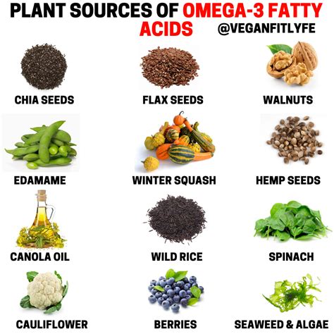 How to get Omega-3 As a Vegan: The Best Plant Sources of Omega-3 | by ...