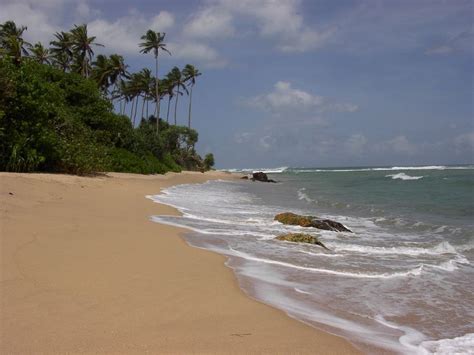 Matara beach, South-West, Sri Lanka - Ultimate guide (November 2024)