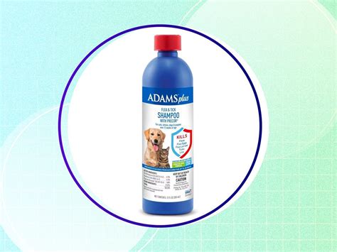 The 5 best dog shampoos of 2023, according to experts