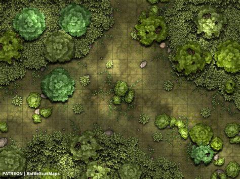 Forest Clearing Battle Map Dnd Battle Map D&D Battlemap - Etsy Canada