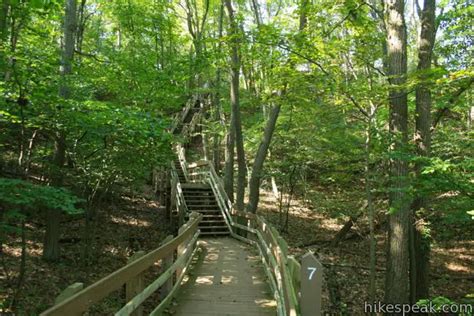 Dune Succession Trail | Indiana Dunes National Lakeshore | Hikespeak.com