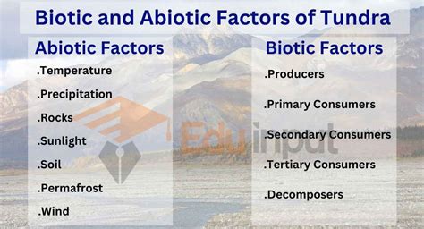 Biotic and Abiotic Factors of Tundra Ecosystem