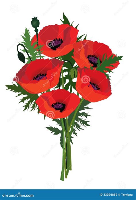 Flower Poppy Bouquet. Royalty Free Stock Images - Image: 33026859