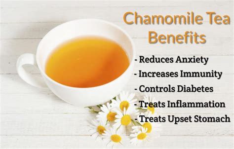 Health Benefits of Chamomile Tea