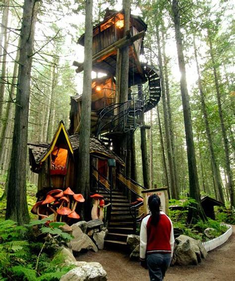 8 Extravagant Tree Houses Worthy of Wonderland - talkdecor.com