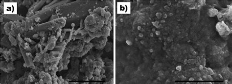 SEM of ceramic powder. a) Ceramic powder. Bar 5 2 m m. b) AIV H7N1 ...