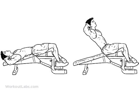 Decline Bench Crunches / Sit-ups | WorkoutLabs