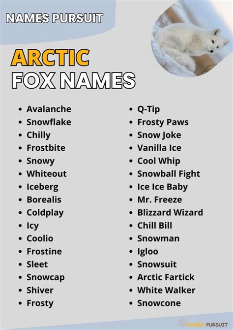 Arctic Fox Names [370+ Ideas for the Beautiful White Foxes]