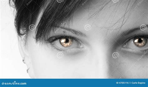 Strange eyes stock photo. Image of girl, pretty, portrait - 4705116