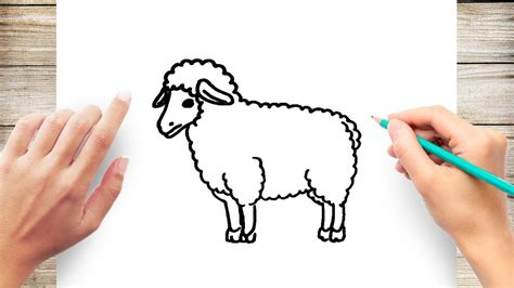 Simple Sheep Drawing For Kids, How To Draw A Cartoon Sheep That Looks ...