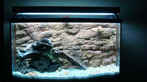 New tanganikan /w Universal Rock Aquarium Background | Cichlid Fish Forum