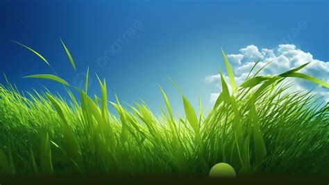 Grass Nature Green Grass Background, Grass, Nature, Green Grass Background Image And Wallpaper ...