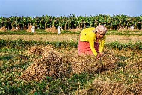 Nepal - Agriculture, Tourism, Trade | Britannica