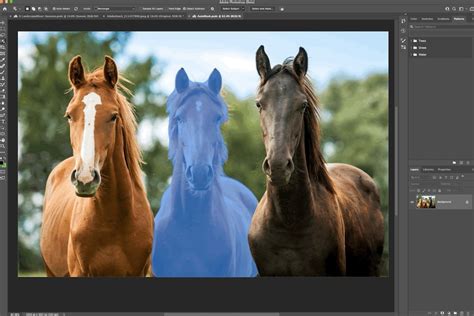 Adobe Updates Editing Tools Including Photoshop, Illustrator With AI ...