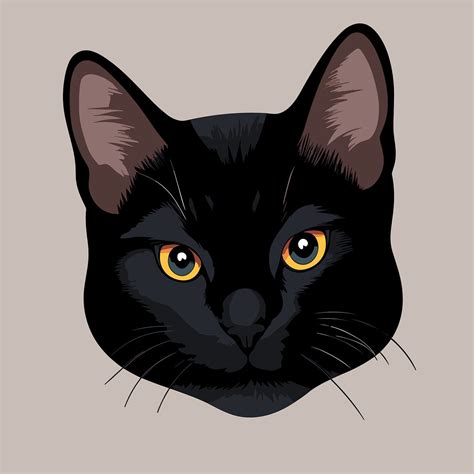 Download Cat, Pet, Black Cat. Royalty-Free Vector Graphic - Pixabay