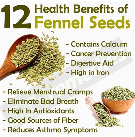 How To Use Fennel Seeds For Gas, Cramps And Bloating